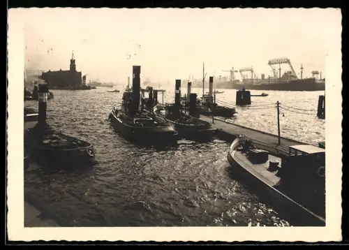 AK Hamburg, Hafenpanorama mit Frachtschiffen und Kränen