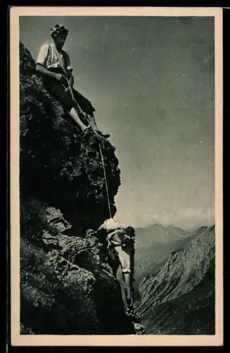 AK Edelweiss-Sucher in den Hochalpen