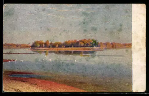 Künstler-AK sign. G. O. Palmikoff: Pétrograde, Ile d`Elaguine et Pointe