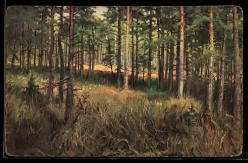 Künstler-AK sign. C. Klever: Les derniers rayons de soleil