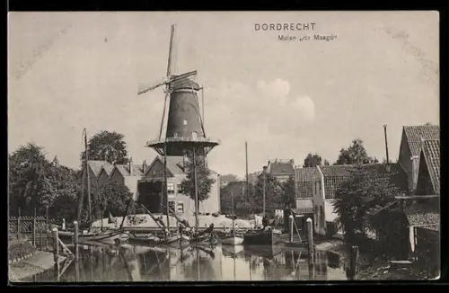 AK Dordrecht, Molen de Maagd