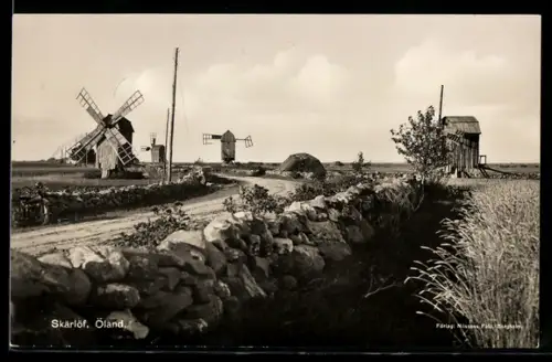 AK Skärlöf /Öland, Windmühlen, Panorama