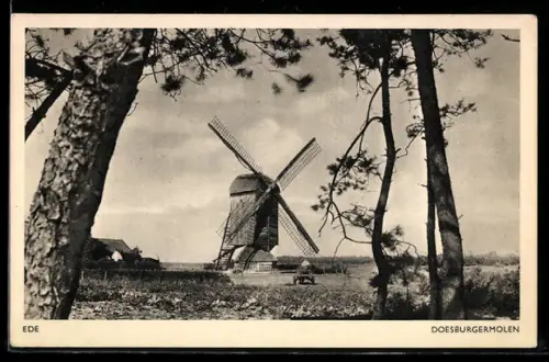 AK Ede, Doesburgermolen