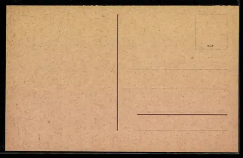 AK Godesberg, Ruine Godesberg mit Umgebung