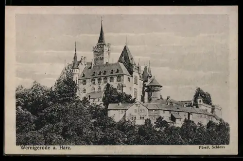 AK Wernigerode a. H., Fürstliches Schloss