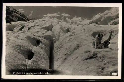 AK P. Bernina mit Morteratschgletscher