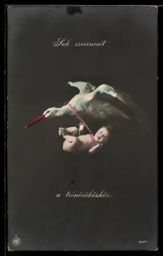 Foto-AK NPG Nr. 3057: Storch trägt ein Neugeborenes im Flug