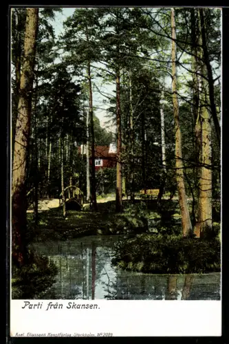 AK Skansen, Parti fran Skansen