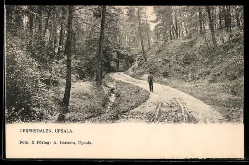 AK Upsala, Geijersdalen, Ortspartie