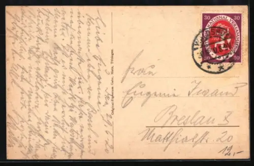 AK Waldshut a. Rhein, Panorama mit Alpenblick und Rhein