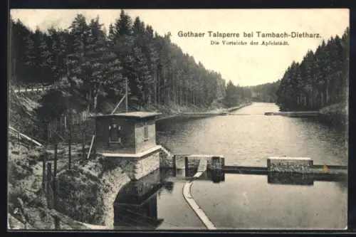 AK Tambach-Dietharz, Gothaer Talsperre, Vorstaubecken der Apfelstädt