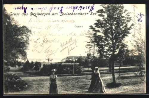AK Dreibergen am Zwischenahner See, Garten