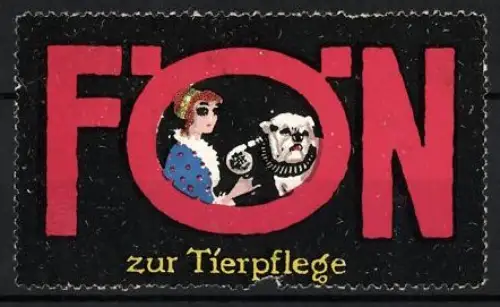 Reklamemarke FÖN, Elektrische Haartrockner, Frau fönt einen Hund
