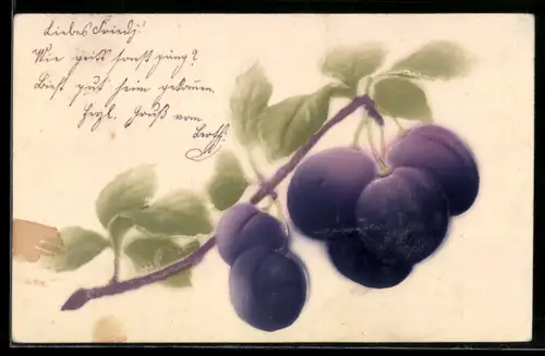 Präge-Airbrush-AK Pflaumen an einem Zweig