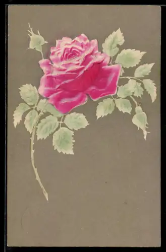 Präge-Airbrush-AK Blühende Rose mit Knospe