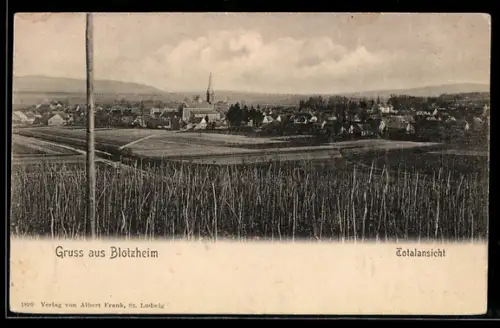 AK Blotzheim, Vue d`ensemble du village et des champs environnants