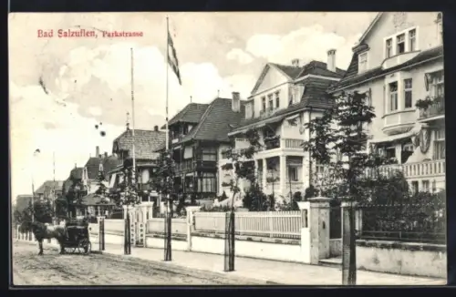 AK Bad Salzuflen, Parkstrasse, Wohnhäuser