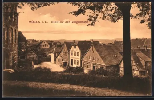 AK Mölln i. L., Blick auf den Ziegenmarkt