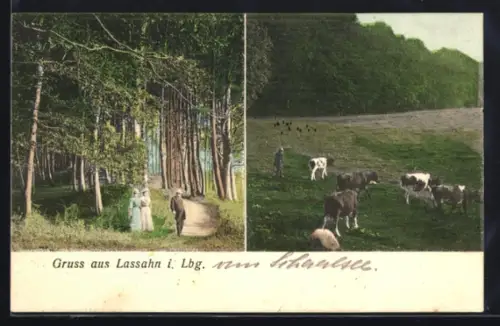 AK Lassahn i. Lbg., Waldweg, Weide mit Kühen