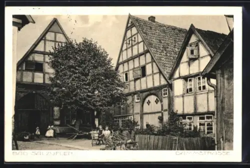 AK Bad Salzuflen, Dammstrasse, Fachwerkhäuser
