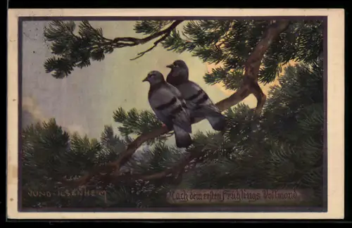 Künstler-AK Franz Jung-Ilsenheim: Tauben auf einem Ast