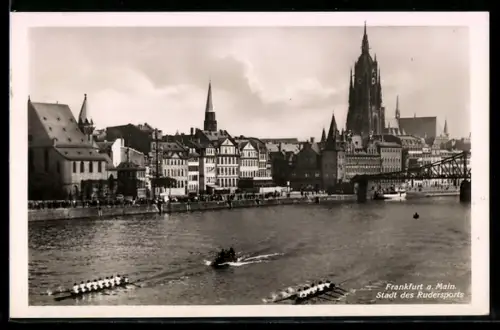 AK Alt-Frankfurt, Dom, Mainufer, Rudersport