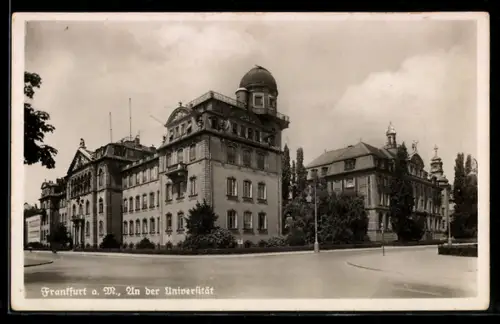 AK Frankfurt-Westend, An der Universität, Panorama