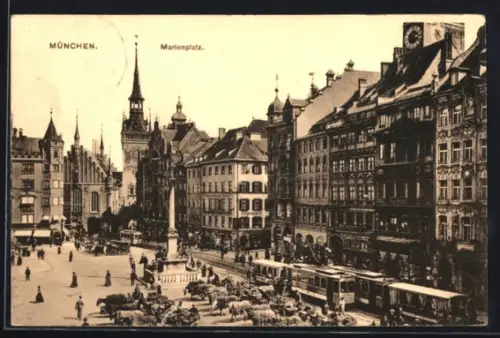 AK München, Strassenbahnverkehr auf dem Marienplatz