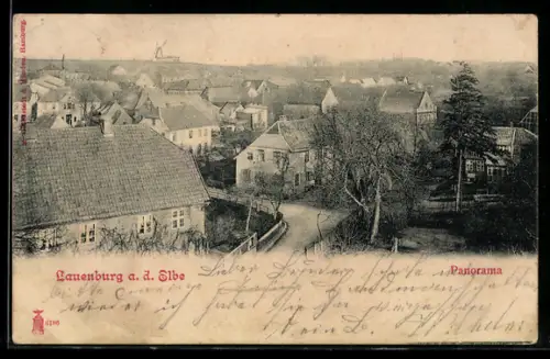 AK Lauenburg a. d. Elbe, Panorama mit Strassenpartie