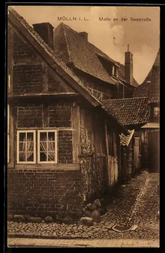 AK Mölln i. L., Motiv an der Seestrasse