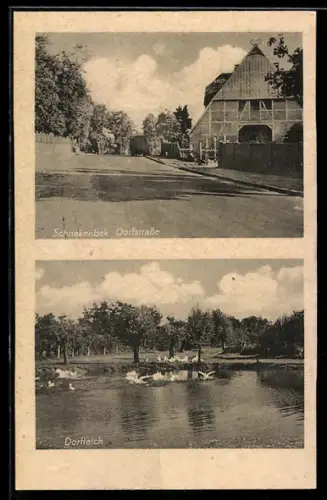 AK Schnakenbek, Dorfstrasse, Dorfteich