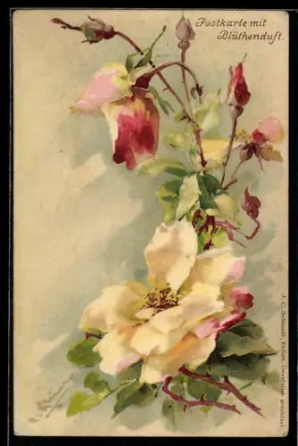 Künstler-AK Catharina Klein: Blühende gelbe und rosa Rosen mit Knospen