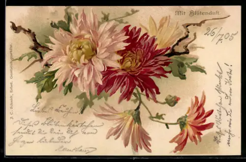 Duft-AK Blühende rote und weisse Blumen