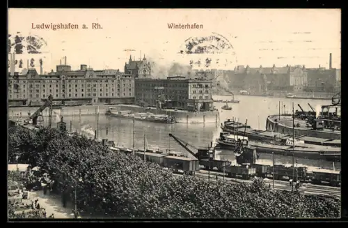 AK Ludwigshafen a. Rh., Winterhafen, Panorama