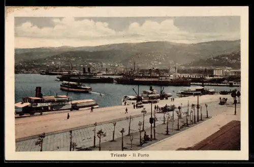 AK Trieste, Il Porto