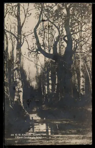 Künstler-AK sign. I. Klever: Coucher de Soleil