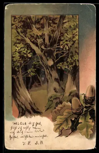 Künstler-Lithographie sign. P. Battin: Waldpartie, Eicheln