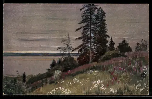 Künstler-AK sign. V. Perepletchikov: Fleurs du nord