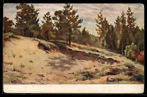 Künstler-AK Dünenpanorama im Herbst