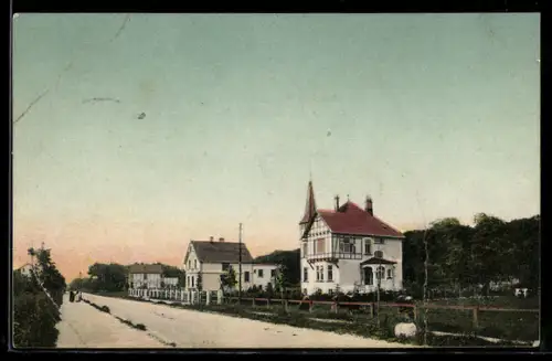 AK Varel, Landstrasse mit Villen und Wohnhäusern