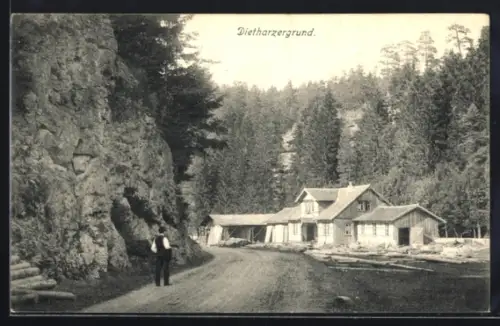 AK Tambach, Dietharzergrund, Waldhaus, Felsen, Waldweg