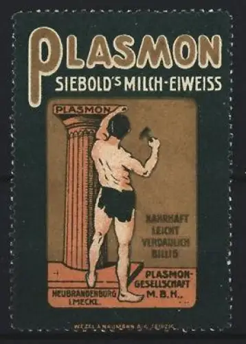 Reklamemarke Neubrandenburg, Plasmon, Siebold`s Milch-Eiweiss, Bildhauer