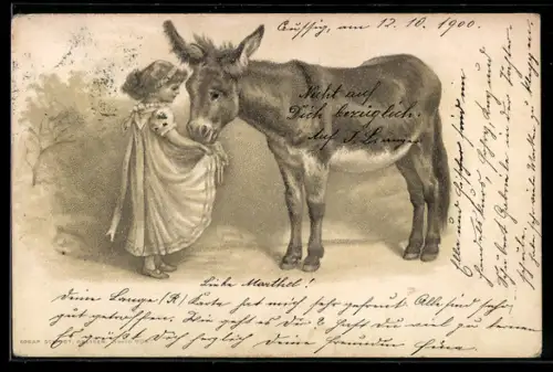 AK Mädchen gibt dem Maultier etwas zu Fressen