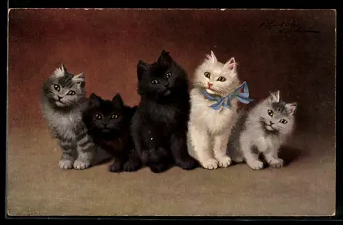 Künstler-AK hübsche Katzen mit blauer Schleife