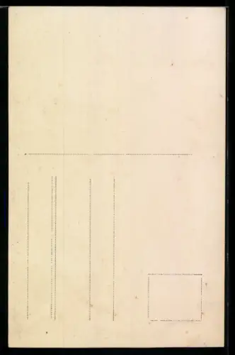 Foto-AK Dame im Ruderboot auf einem See