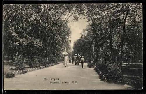 AK Essentuki, Sosnovaja Alleja