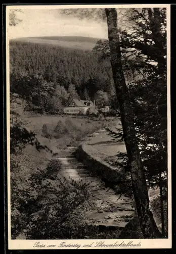 AK Bad Schwarzbach, Schwarzbachtalbaude, Partie am Förstersteg