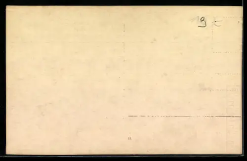 Foto-AK Geiger mit Fliege beim Spielen des Instruments