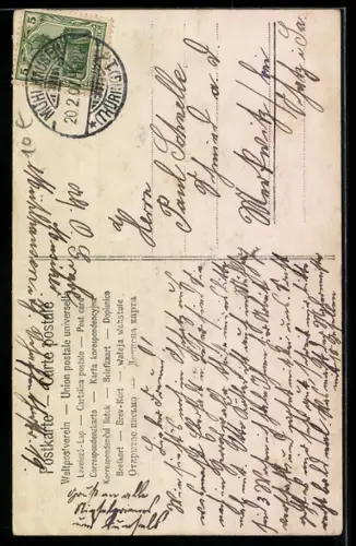 Foto-AK Geiger mit Instrument, Portrait