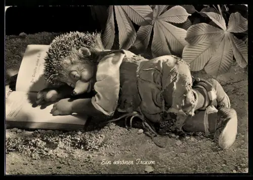 AK Ein schöner Traum, Mecki ist beim Lesen auf einem Buch eingeschlafen